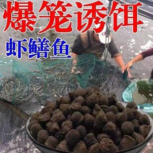抓鱼瓶桶虾亲子专业神器儿童工具白条户外倒须口笼钓瓶批发专用