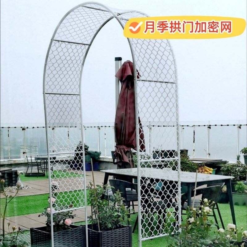 速发绿萝曼藤网山乌龟藤爬植物上墙网月季花墙装饰塑料网格园艺爬