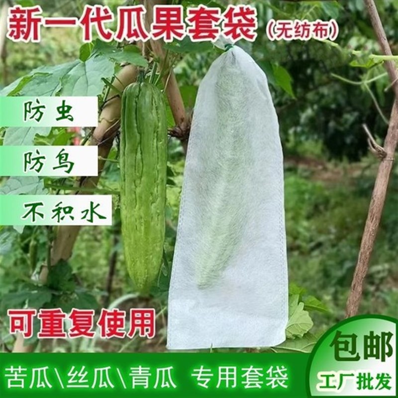 速发苦纺冬用套袋防果蝇南瓜丝瓜保护套无瓜布透气防虫防鸟西红柿