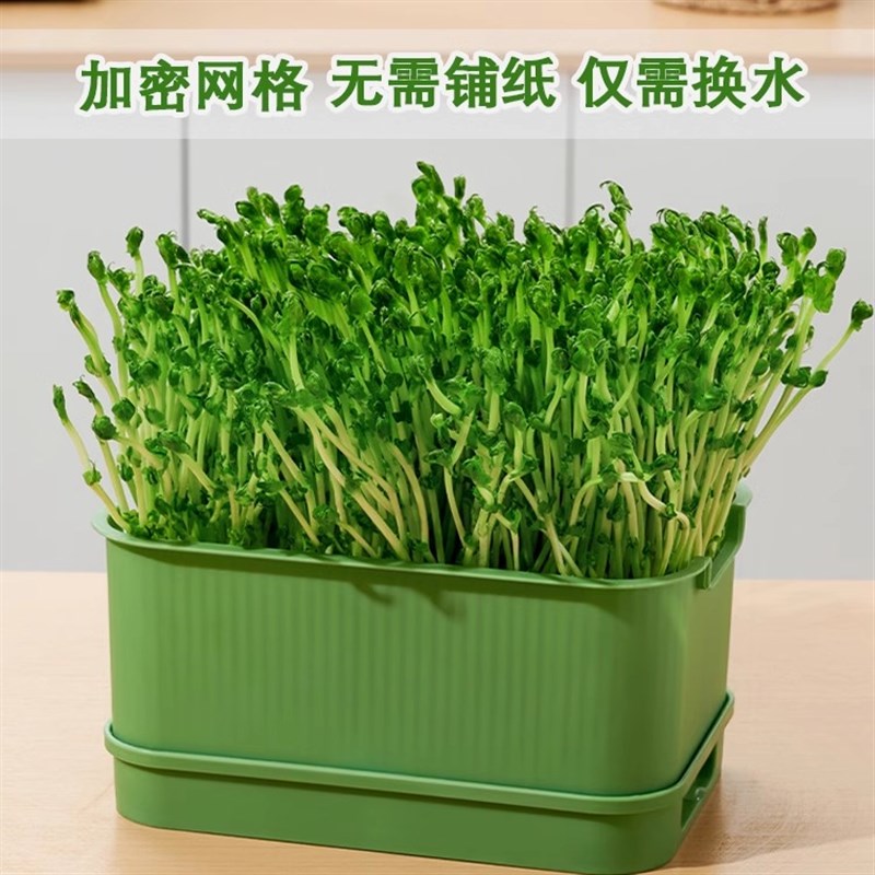 速发豆芽发芽盆水培蔬菜豌豆苗种植托无土栽培菜猫草芽苗架育苗盘