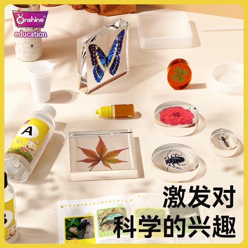 速发真实真珀昆蝴标本制作玩具琥虫虫蝶甲虫手工实验材料自制工具
