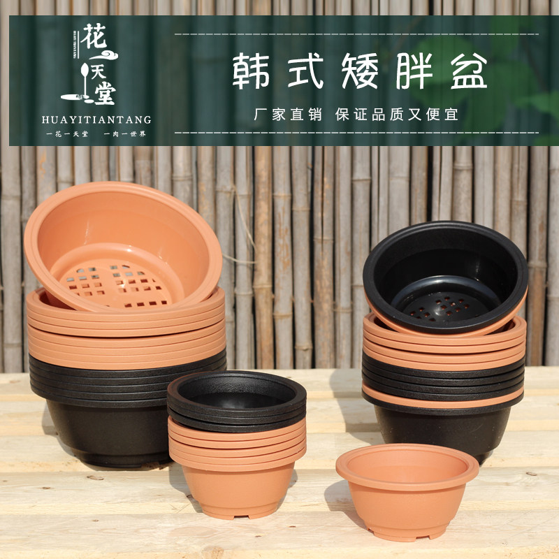 速发多肉植景塑料花盆物天老桩群生矮胖盆仙韩球根盆景盆人式磨砂
