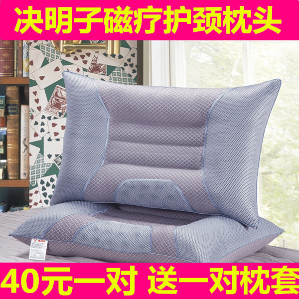 速发决对子枕头磁石枕芯双人学生单人明人家用护枕一成带枕套
