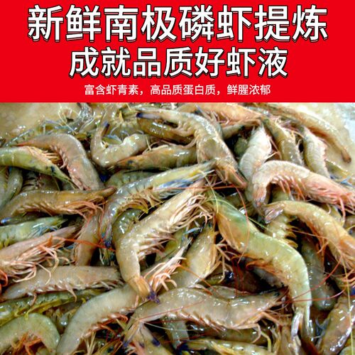 速发红虫虾液超浓腥活野饵料冬季低温小药黑坑鲫钓虾油诱鱼剂