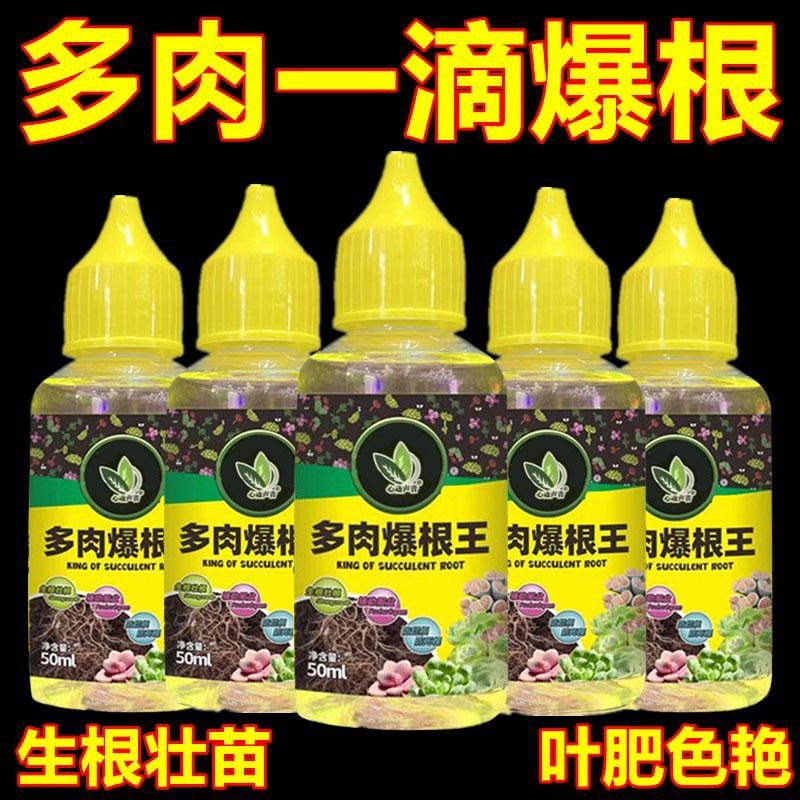 速发多肉爆根王快肥生根壮苗剂多肉植专物用养花水速通用营养液生