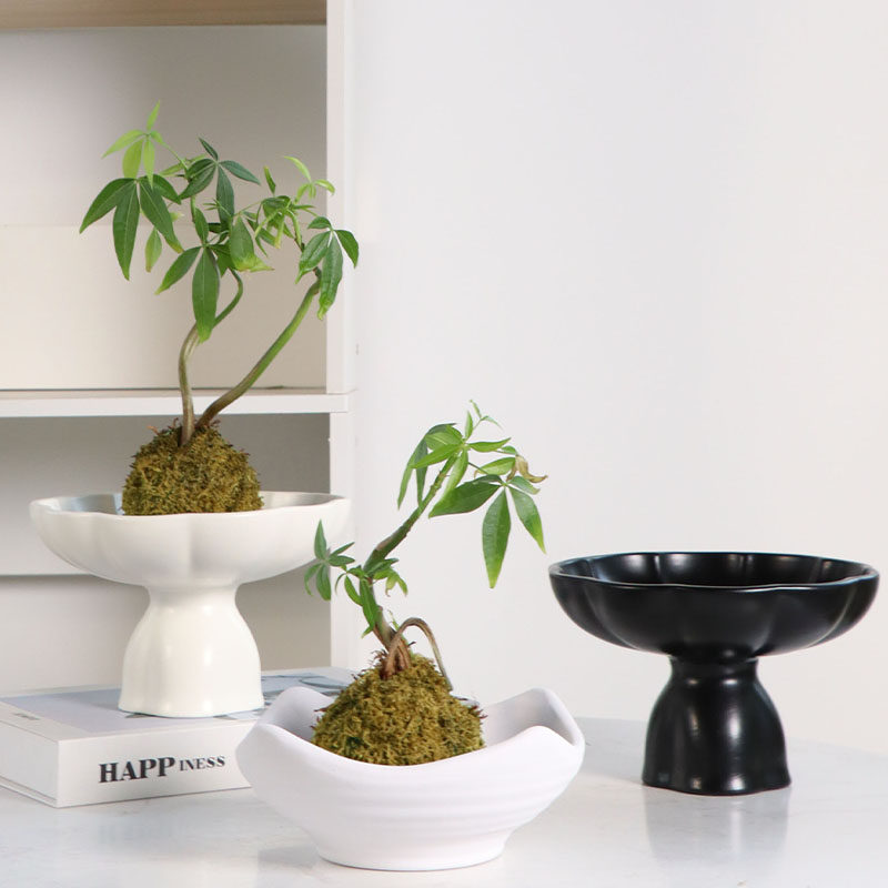 速发苔藓球花盆陶瓷中式简约无孔桌盘花面摆件水培米竹菖蒲器皿盆