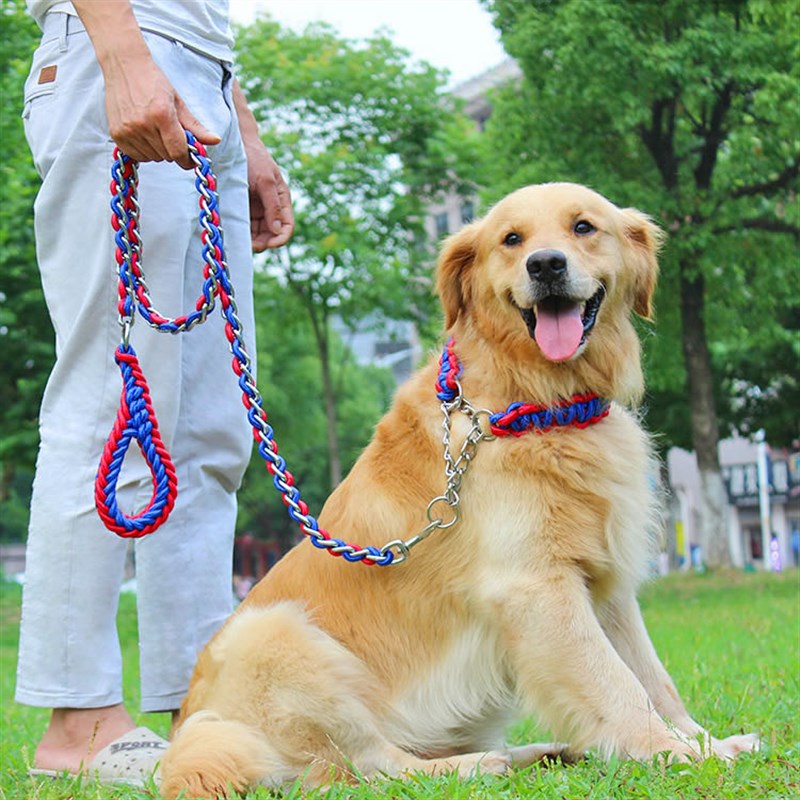 速发项圈大咬断金毛拉布拉多狗拉斯加防型犬遛狗绳栓阿链子