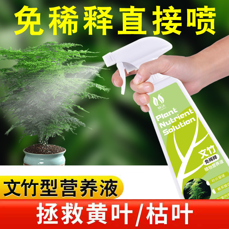 速发栽稀释文竹专用肥营养液家用盆免养花培物通用花肥料水土植肥