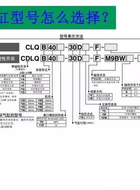 SMC薄型带锁气缸CLQB/CLQA32-40-50-63-80-DM-100-F-B/CDLQB