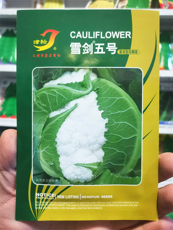 菜花种子雪剑五号紧花菜种花椰菜夏季秋季早熟抗病实花2000粒