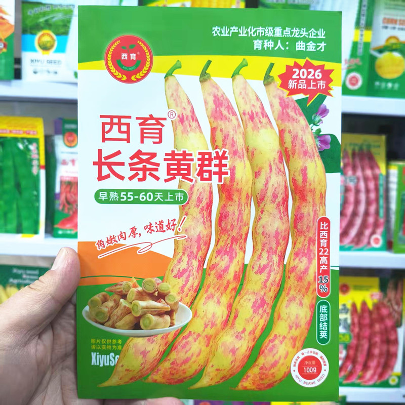 西林种子早熟长条黄群黄金钩豆角种籽春秋鼓豆面豆蔬菜种子100克