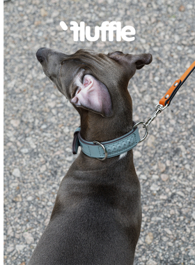 Fluffle意大利柔软牛皮十字编织雾霾蓝宠物狗狗项圈