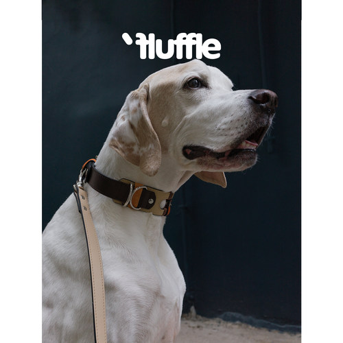 Fluffle原创设计西班牙狗项圈
