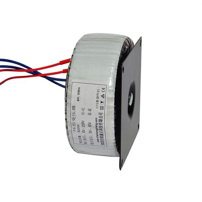 全铜隔离变压器50-5000VA电压24/36/48/60/11C0V电源环形变压器