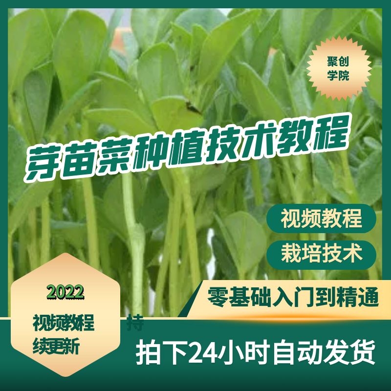 芽苗菜栽培技术视频教程无土大绿豆花生芽香椿苗种植大棚生产全套