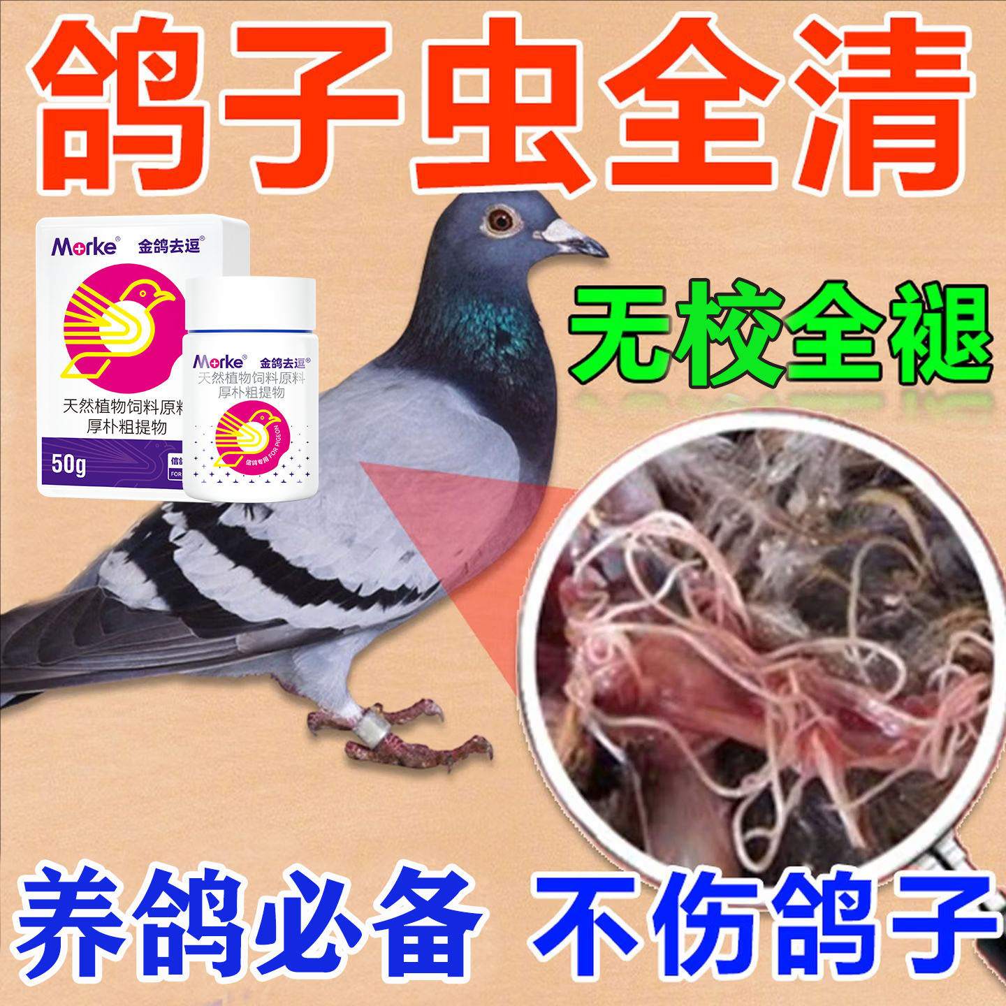 鸽子专用驱虫药全虫清球虫线虫蛔虫幼鸽信鸽肉鸽专用养殖常备鸽药