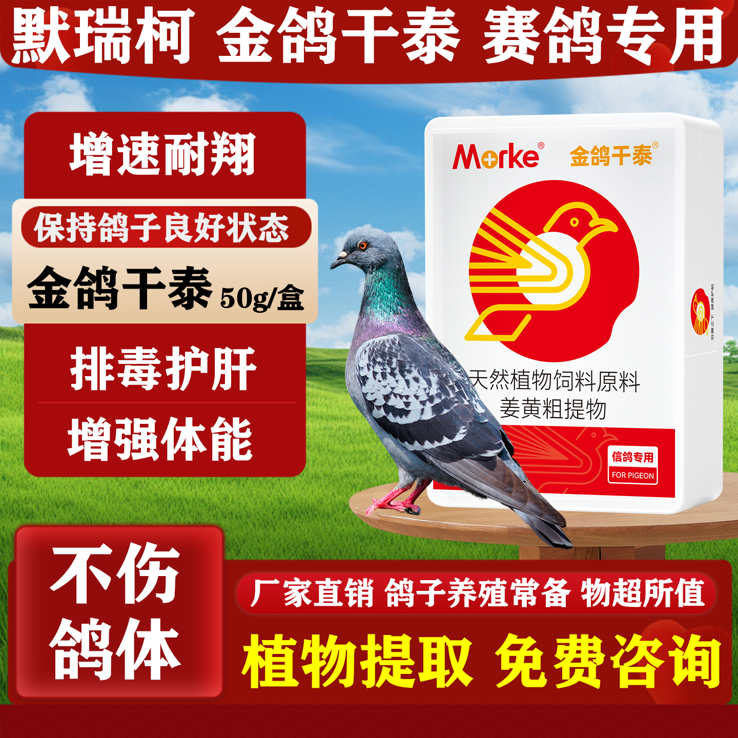 鸽子专用药大全排毒强肝