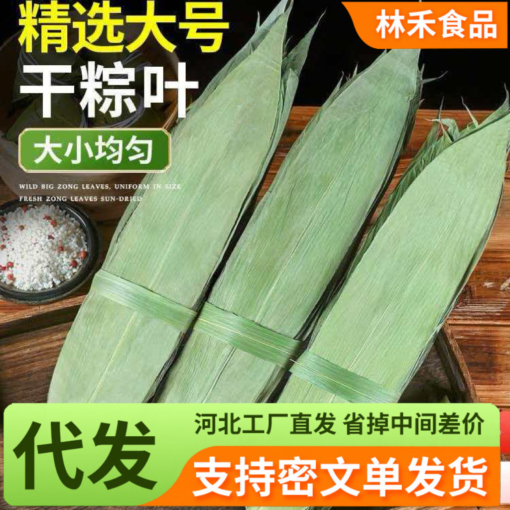 干粽子叶新鲜大片100片/包 箬叶包粽子的叶子大号本地包棕子叶