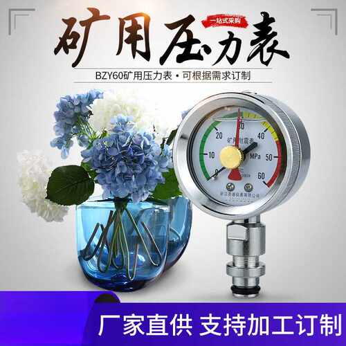 bzy60矿用压力表双指针耐震液压