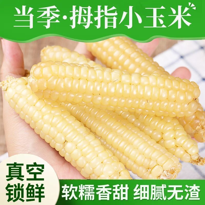 云南西双版纳拇指小玉米新鲜傣家香糯小手指迷你袖珍常温玉米美食