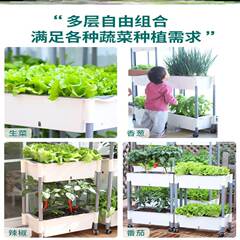 家庭室内阳台自己种菜盆屋顶菜园多层蔬菜种植种植箱家里种菜神器