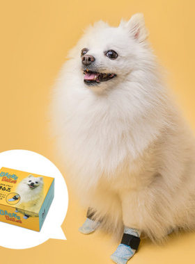 韩国代购DAENG小型宠物狗狗外出防污防滑防水脚套 泰迪比熊雨鞋