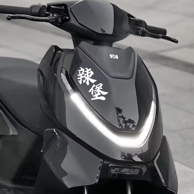 辣堡贴纸装饰车身防水贴花