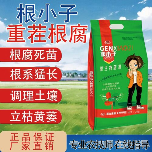 根小子菌肥抗重茬治根腐生根壮苗