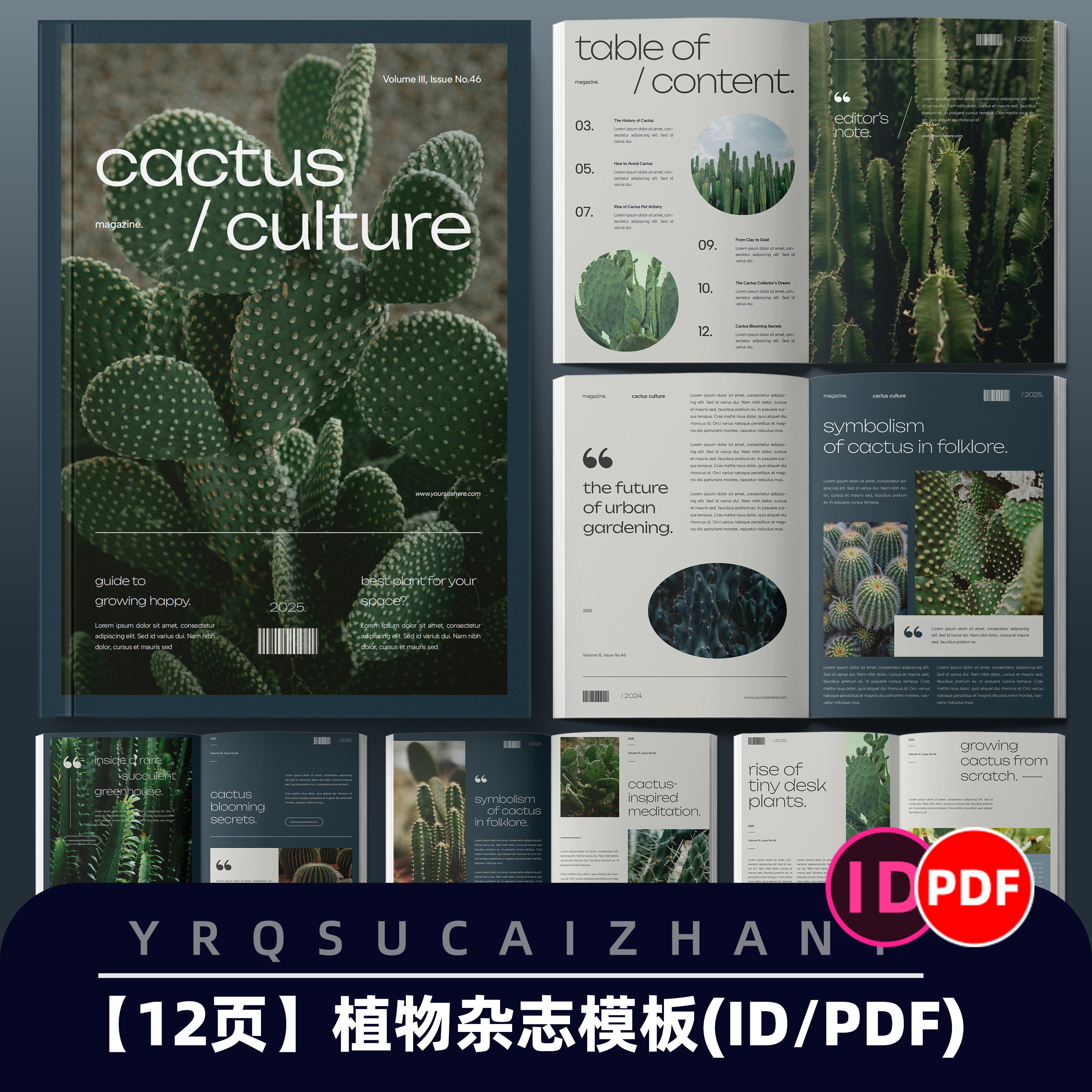 N256仙人掌绿色植物杂志图文通用排版模板宣传画册IDPDF设计素材