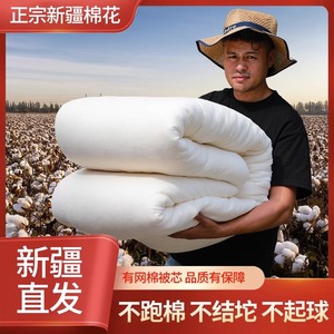 新疆棉被纯棉花一级棉絮床垫单人冬被子家用全棉被被芯垫被空调被
