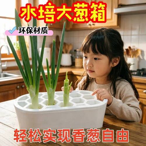 水培蔬菜种植箱葱花大蒜生菜水培箱家庭室内阳台无公害水培器皿篮