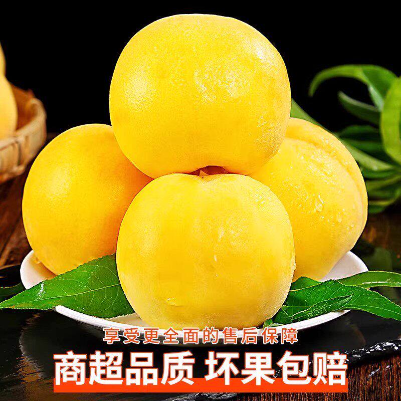 现摘现发新鲜大黄桃皮薄肉厚