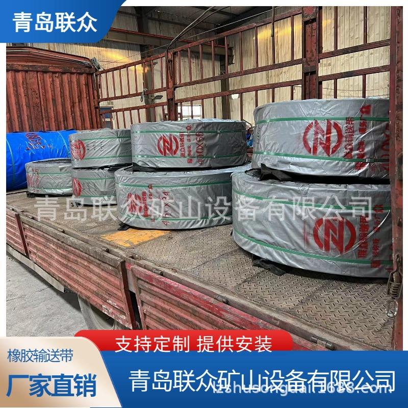 防撕裂钢丝绳输送带 斗提机帆布皮带 ST1000耐酸碱提升带