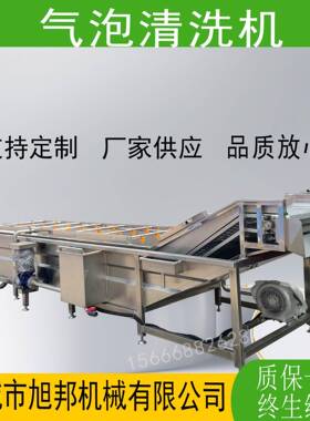 全自动大型果蔬气泡清洗机 水浴式洗菜设备 商用气泡喷淋清洗设备