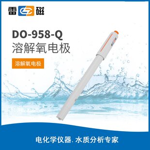 雷磁全新升级DO-958-Q型溶解氧电极探头传感器