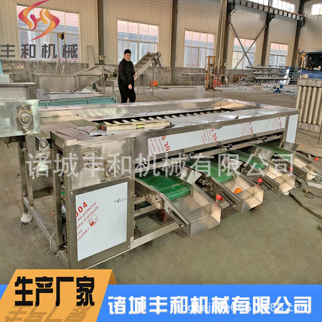木瓜分级机 人参果分级机 水果分级筛选 西柚血橙分级机