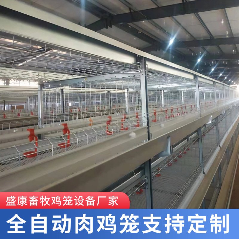 3~4层叠肉鸡笼农场养鸡自动化设备养殖鸡笼子立式后镀锌肉鸡笼子