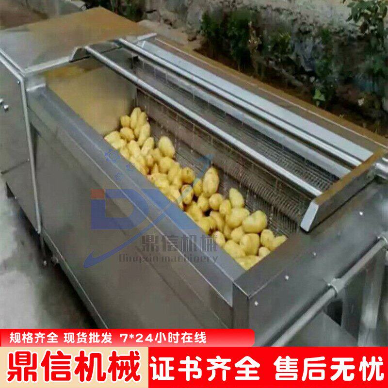 不锈钢 黑土豆山药去皮清洗机 辣根清洗加工 马铃薯毛辊清洗设备
