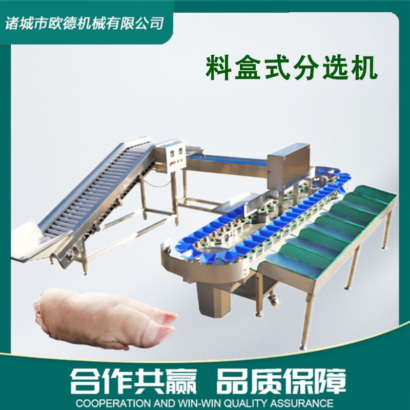 猪蹄鸡爪重量分选机 厂家定制料盒小龙虾分级机自动检测级别精准