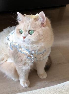 猫咪衣服夏日吊带连衣裙狗狗公主裙薄款背心防掉毛宠物金渐层布偶