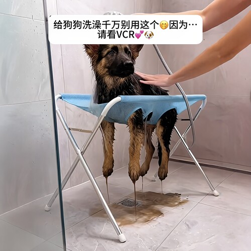 毛孩子洗澡还可以这么乖