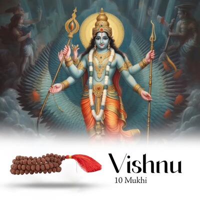 印度国际直邮 VISHHU毗湿奴 金刚菩提子10面Mukhi Rudraksha手串