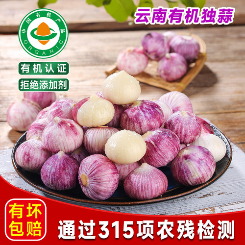 有机独蒜云南紫皮农家高原
