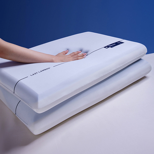 LIIESEN丽笙懒宝儿裸感记忆枕Q弹柔软慢回弹护颈枕头枕芯不塌陷枕