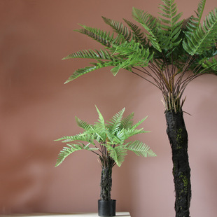 室内仿真植物大型新西兰银蕨仿真树景观橱窗落地装 饰绿植造景