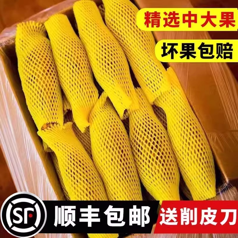 正宗特级新疆乌鲁木齐天山雪莲果当季新鲜现摘孕妇水果顺丰包邮