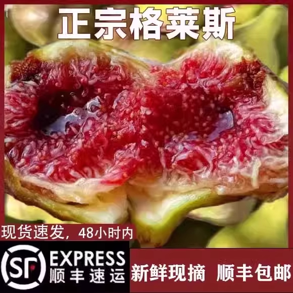 正宗特级云南格莱斯无花果当季新鲜现摘树上熟糖包子顺丰包邮水果