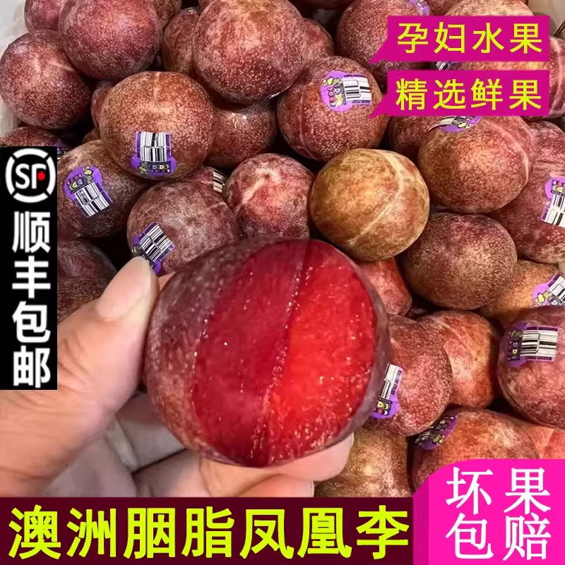 正宗特级澳洲空运进口凤凰血丝李当季新鲜水果胭脂红心李顺丰包邮