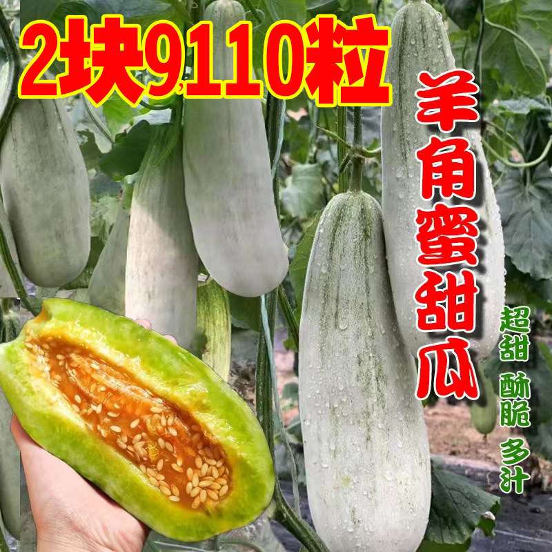正品羊角蜜种孑羊角酥甜瓜种子香瓜密春秋季四季水果特大特甜种孑,鲜花速递/花卉仿真/绿植园艺,家庭园艺种子,淘宝优惠券,粉丝福利购,淘宝优惠卷