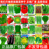 蔬菜种子大全四季 青菜种孑家庭易种盆栽葱香菜生菜辣椒豆角番茄籽